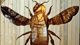 Výstava Včela – Cesta do včelího města představí formou hry tajuplný život včel 